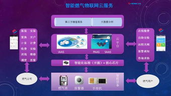 黑龍江省國(guó)家密碼管理局 筑牢網(wǎng)絡(luò)安全防線，引領(lǐng)信息安全軟件開(kāi)發(fā)新篇章